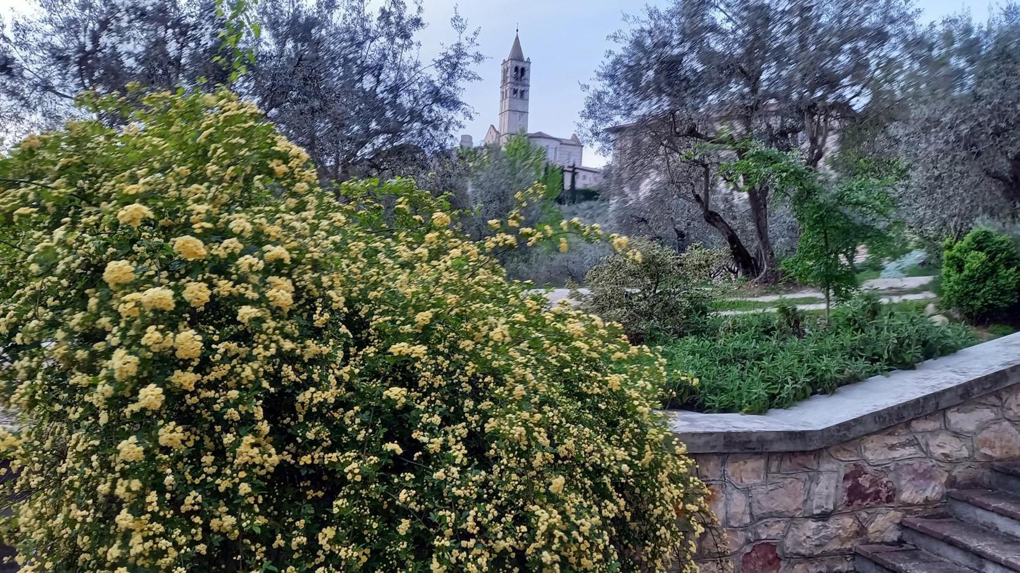 La Casa Di Famiglia Apartment Assisi Bagian luar foto